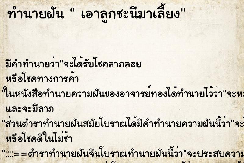 ทำนายฝัน เอาลูกชะนีมาเลี้ยง ทำนายฝัน เอาลูกชะนีมาเลี้ยง